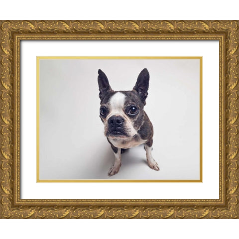 Norton Moses Gold Ornate Wood Framed Art Print with Double Matting by Sabo, Susan