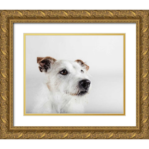 Spike Zuck Gold Ornate Wood Framed Art Print with Double Matting by Sabo, Susan