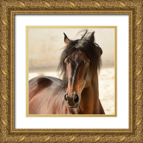 Casanova Gold Ornate Wood Framed Art Print with Double Matting by Stromberg, Tony