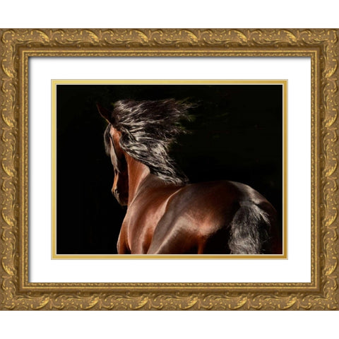 Reflection Gold Ornate Wood Framed Art Print with Double Matting by Stromberg, Tony