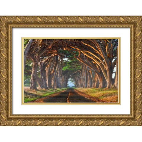 Tunnel of Light Gold Ornate Wood Framed Art Print with Double Matting by Sie, Lee