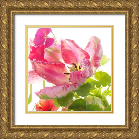 Parrot Tulip One Gold Ornate Wood Framed Art Print with Double Matting by Stalus, Judy
