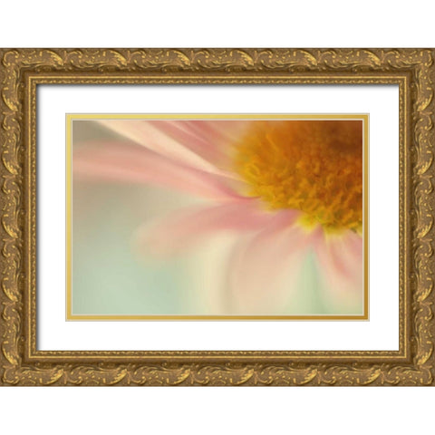 Whisper Gold Ornate Wood Framed Art Print with Double Matting by Stalus, Judy