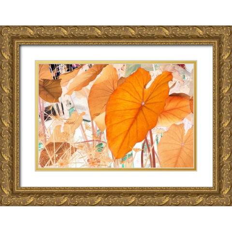 Elephant Ears Gold Ornate Wood Framed Art Print with Double Matting by Stalus, Judy
