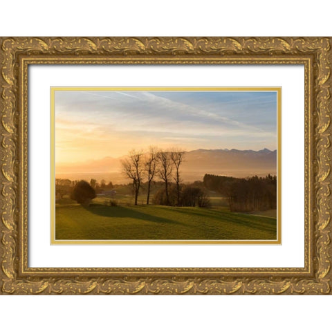 Soothing Light Gold Ornate Wood Framed Art Print with Double Matting by Schneidersmann, Anne