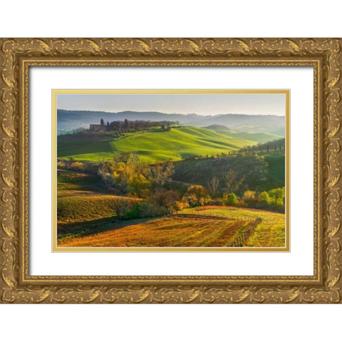 Light Invasion Gold Ornate Wood Framed Art Print with Double Matting by Schneidersmann, Anne