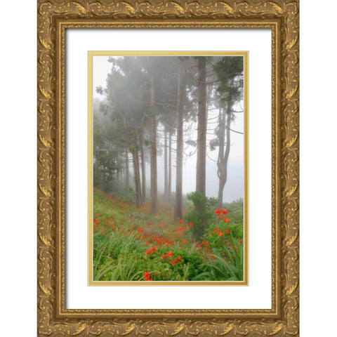Forest of The Flowers Gold Ornate Wood Framed Art Print with Double Matting by Schneidersmann, Anne