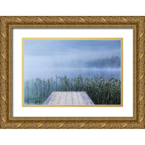 Surrounded Gold Ornate Wood Framed Art Print with Double Matting by Schneidersmann, Anne