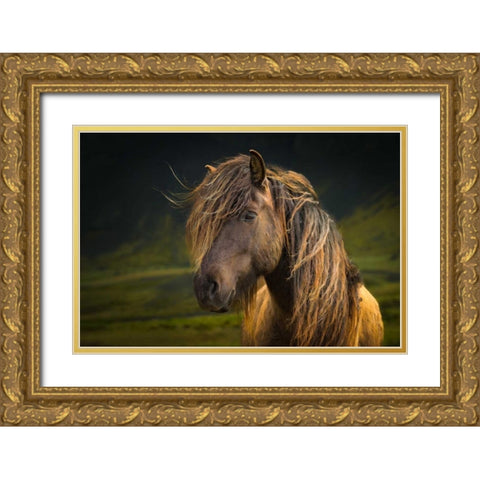 Born To Be Wild Gold Ornate Wood Framed Art Print with Double Matting by Schneidersmann, Anne