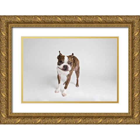 Kevin Gold Ornate Wood Framed Art Print with Double Matting by Sabo, Susan