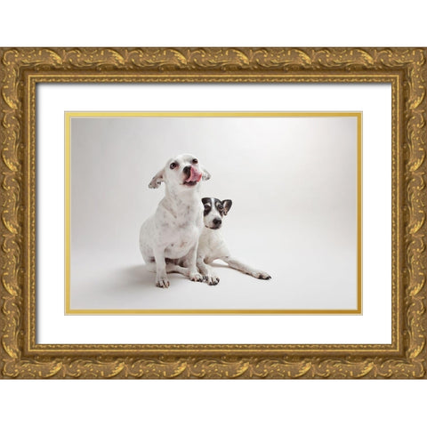 Mouse and Jack Gold Ornate Wood Framed Art Print with Double Matting by Sabo, Susan