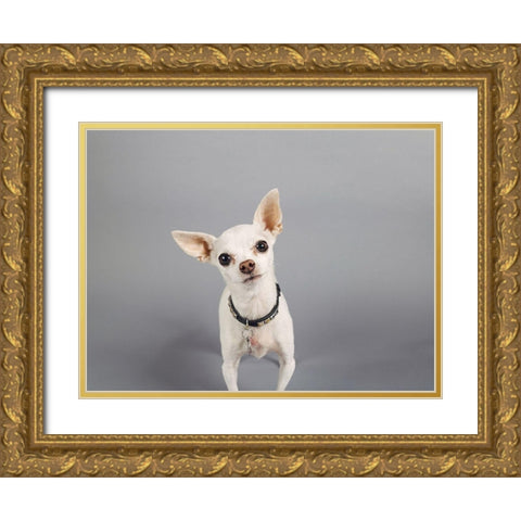 Psssstâ€¦ Gold Ornate Wood Framed Art Print with Double Matting by Sabo, Susan