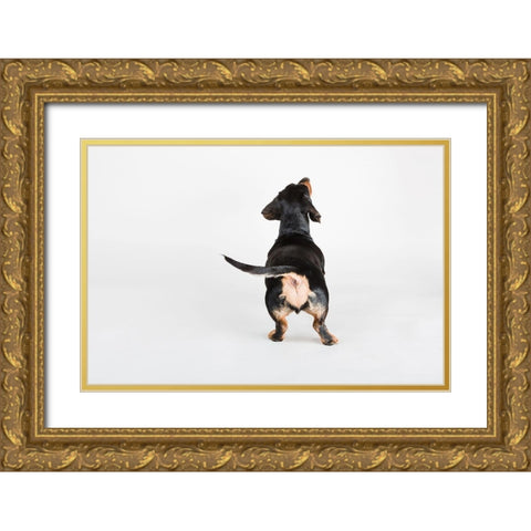 The Butt Gold Ornate Wood Framed Art Print with Double Matting by Sabo, Susan