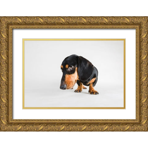 Who, Me? Gold Ornate Wood Framed Art Print with Double Matting by Sabo, Susan