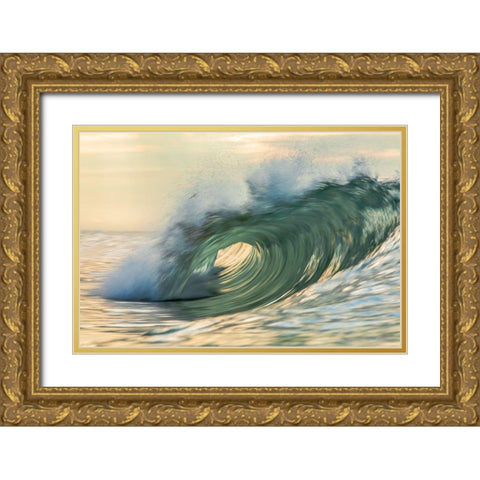 Viridity Gold Ornate Wood Framed Art Print with Double Matting by Sieczkiewicz, David A.