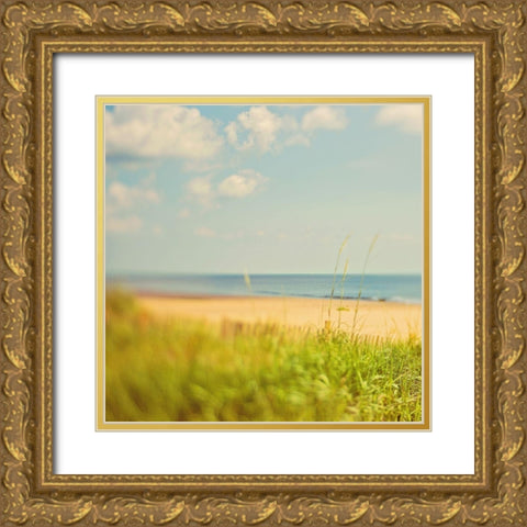 Layers Gold Ornate Wood Framed Art Print with Double Matting by Soffia, Myan