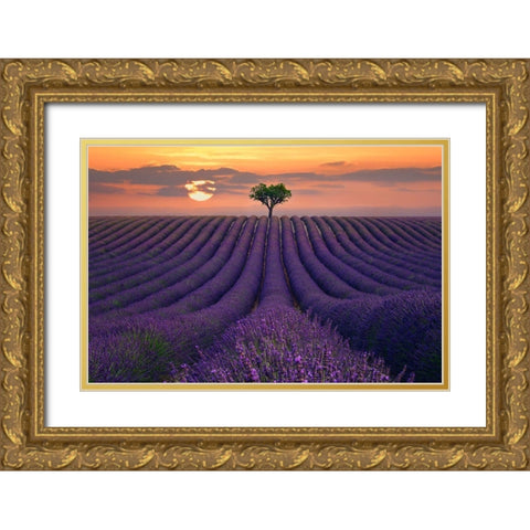 For the Love of Lavender Gold Ornate Wood Framed Art Print with Double Matting by Sie, Lee