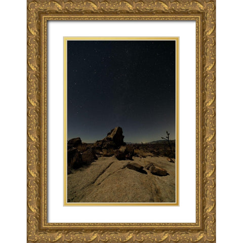 Mohave at Night No. 2 Gold Ornate Wood Framed Art Print with Double Matting by Severn, Shawn/Corinne