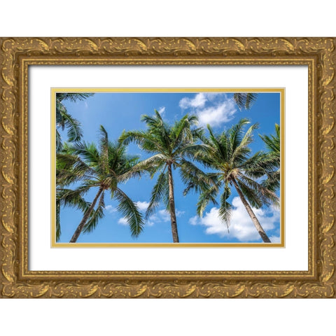 Palawan Palm Trees I Gold Ornate Wood Framed Art Print with Double Matting by Silver, Richard