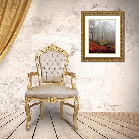 Red Ferns Gold Ornate Wood Framed Art Print with Double Matting by Sinclair, Kelly