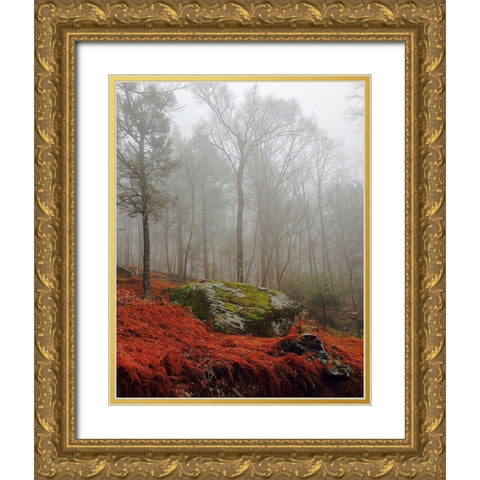 Red Ferns Gold Ornate Wood Framed Art Print with Double Matting by Sinclair, Kelly