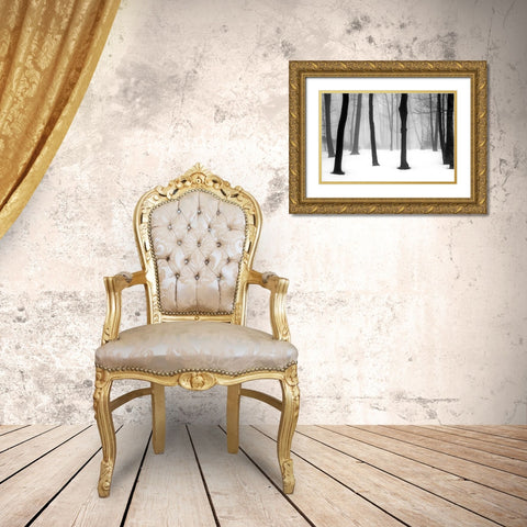 Winter Fog Gold Ornate Wood Framed Art Print with Double Matting by Sinclair, Kelly