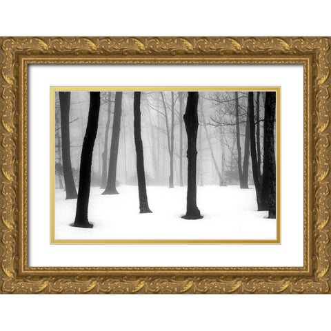 Winter Fog Gold Ornate Wood Framed Art Print with Double Matting by Sinclair, Kelly