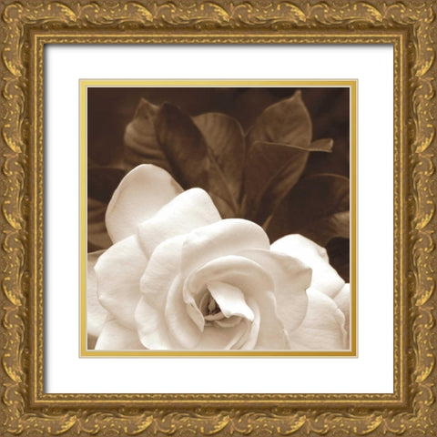 Gardenia Garden Gold Ornate Wood Framed Art Print with Double Matting by Swanson, Rebecca