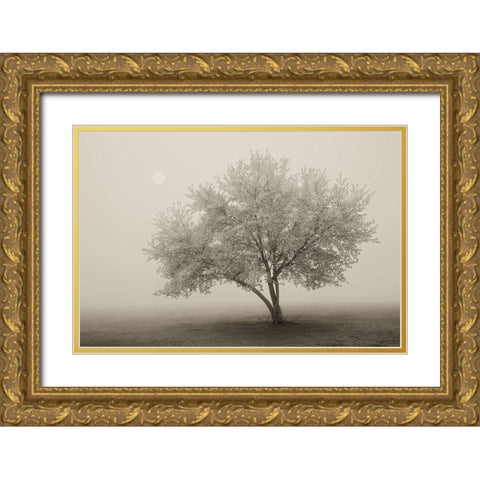 Forever Spring Gold Ornate Wood Framed Art Print with Double Matting by Svibilsky, Igor