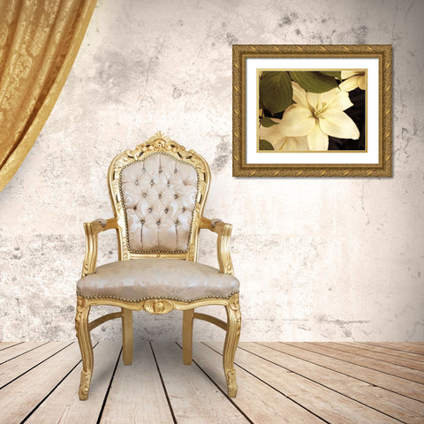 Lily and Leaves Gold Ornate Wood Framed Art Print with Double Matting by Swanson, Rebecca