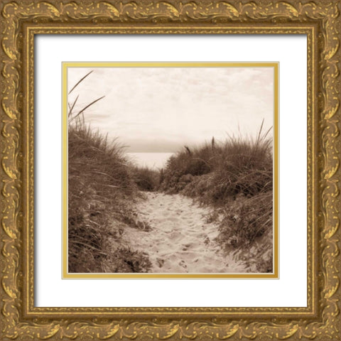 Dune Path Gold Ornate Wood Framed Art Print with Double Matting by Triebert, Christine