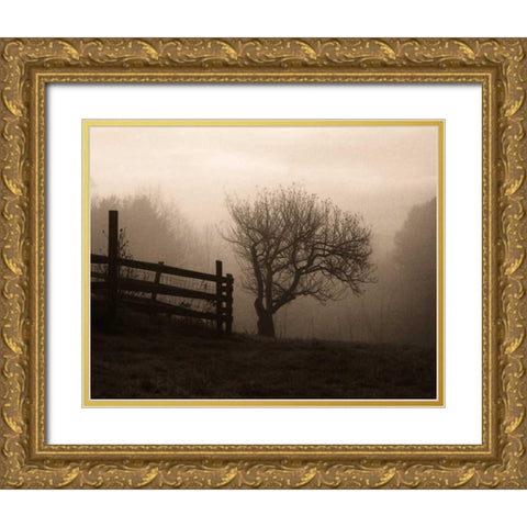 Mountain Meadow Farm Gold Ornate Wood Framed Art Print with Double Matting by Triebert, Christine