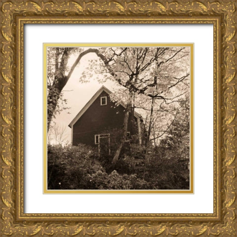 Bough and Barn Gold Ornate Wood Framed Art Print with Double Matting by Triebert, Christine