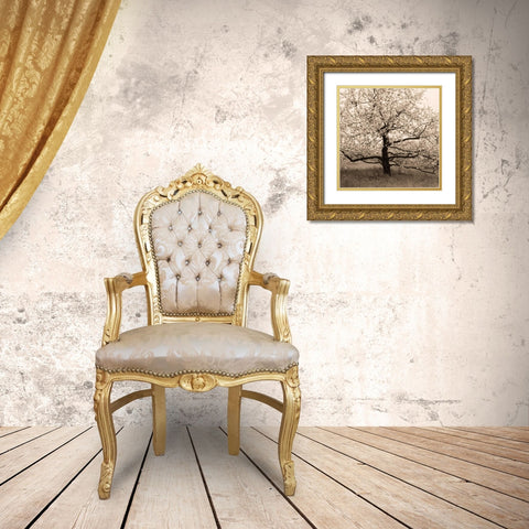 Apple Tree in Bloom Gold Ornate Wood Framed Art Print with Double Matting by Triebert, Christine
