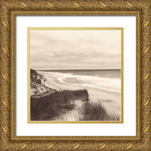 Wellfleet Dune Gold Ornate Wood Framed Art Print with Double Matting by Triebert, Christine