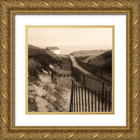 Dune Fence Gold Ornate Wood Framed Art Print with Double Matting by Triebert, Christine