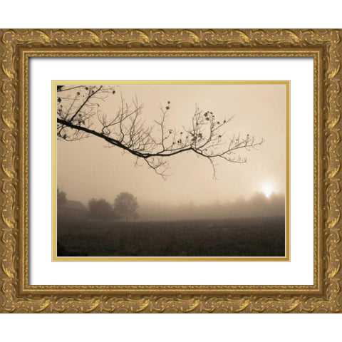 Parish Hill Sunrise Gold Ornate Wood Framed Art Print with Double Matting by Triebert, Christine
