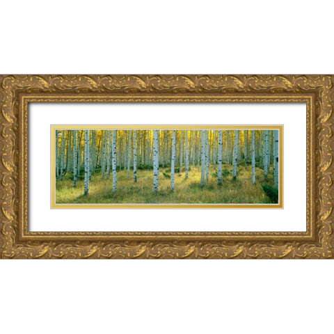 Aspens Ashley Gold Ornate Wood Framed Art Print with Double Matting by Thomas, Alain