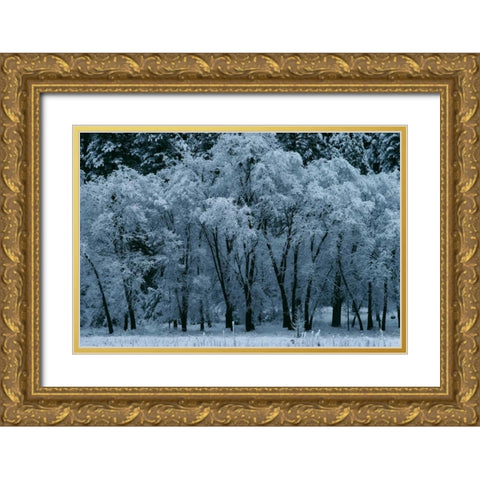 Black Oaks Yosemite Gold Ornate Wood Framed Art Print with Double Matting by Thomas, Alain