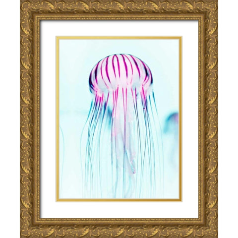 Jelly Fish Gold Ornate Wood Framed Art Print with Double Matting by Tai Prints
