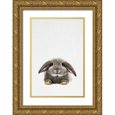 Rabbit Gold Ornate Wood Framed Art Print with Double Matting by Tai Prints