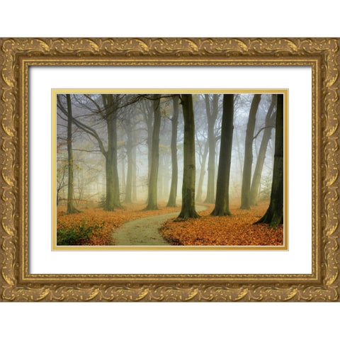 Misty Twisty Gold Ornate Wood Framed Art Print with Double Matting by Van de Goor, Lars