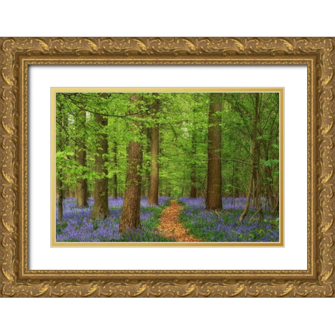 Haller Gold Ornate Wood Framed Art Print with Double Matting by Van de Goor, Lars