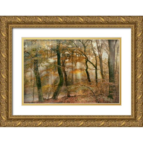 You Cant Hide Your Rays for Me Gold Ornate Wood Framed Art Print with Double Matting by Van de Goor, Lars