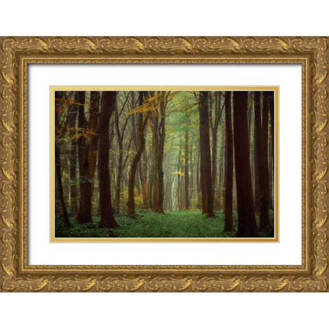 Arriving Nowhere Gold Ornate Wood Framed Art Print with Double Matting by Van de Goor, Lars