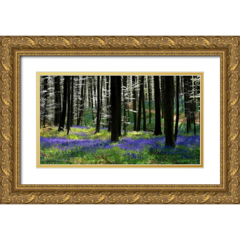 Blue Silver Gold Ornate Wood Framed Art Print with Double Matting by Van de Goor, Lars