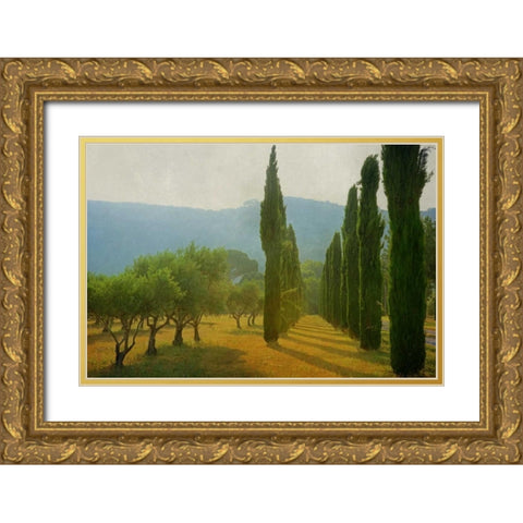 Cypress Shadows Gold Ornate Wood Framed Art Print with Double Matting by Van de Goor, Lars