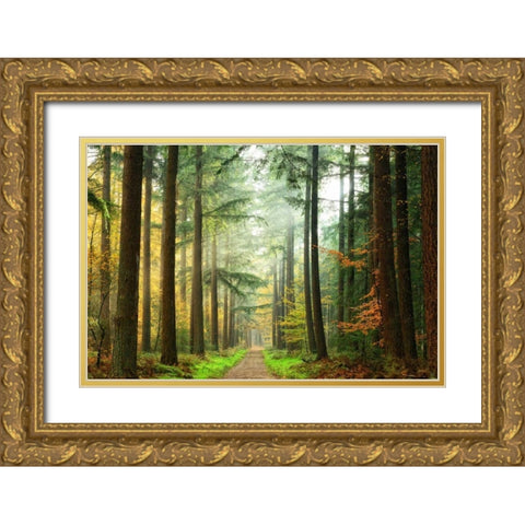 Divide Gold Ornate Wood Framed Art Print with Double Matting by Van de Goor, Lars