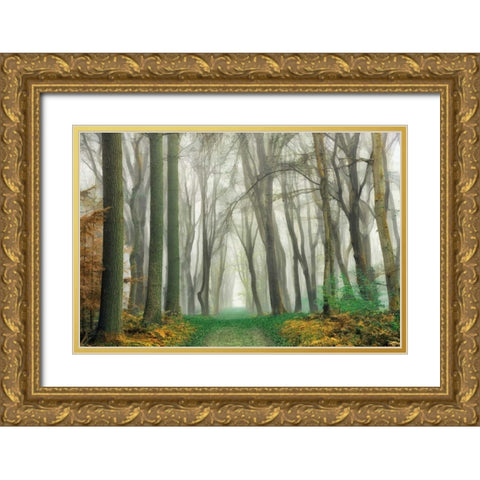 Magic Is Everywhere Gold Ornate Wood Framed Art Print with Double Matting by Van de Goor, Lars