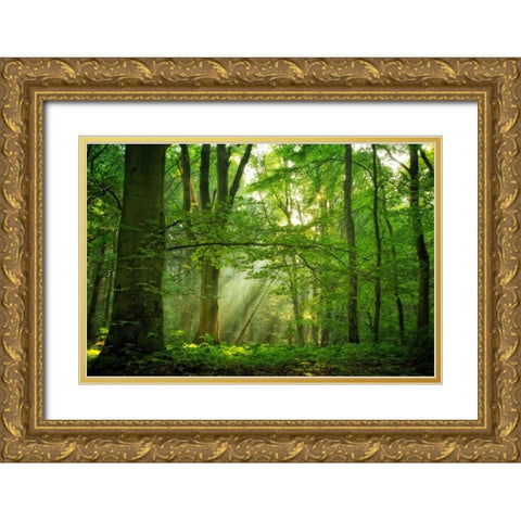 Breathe Gold Ornate Wood Framed Art Print with Double Matting by Van de Goor, Lars